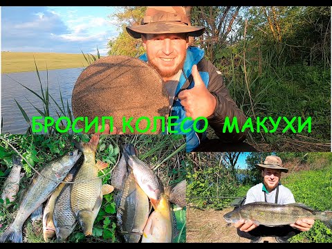 Видео: БРОСИЛ КОЛЕСО  МАКУХИ !Секреты ловли КАРПА!!