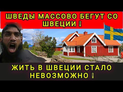 Видео:   В ШОКЕ СО ШВЕЦИИ ❗ КАК ЛЮДИ ТАТ ЖИВУТ ❓