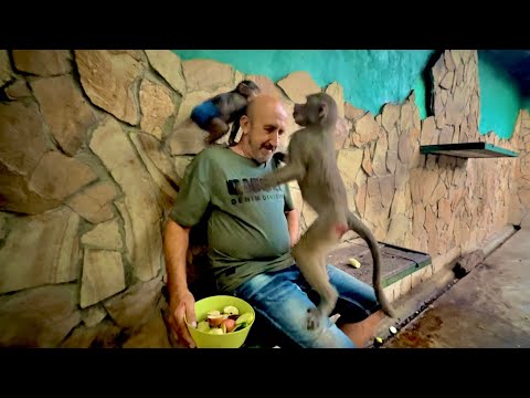 Видео: Мы пришли с Анфисой к Люсе и она включила ЯЖЕМАТЬ, даже есть не захотела и играть)))
