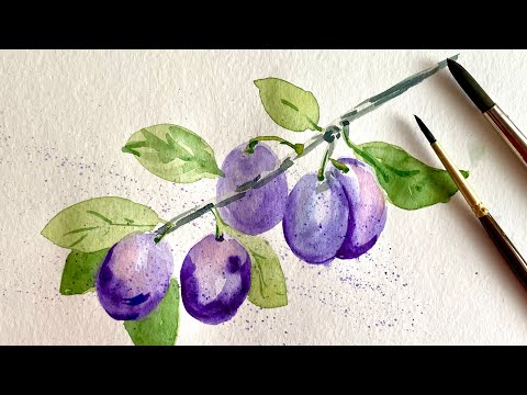 Видео: Урок рисования с нуля. Как нарисовать сливы на ветке. Пошаговое рисование акварелью