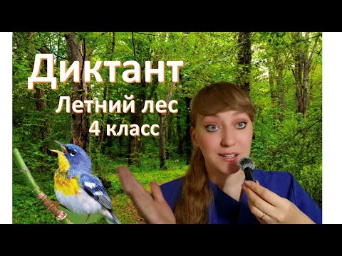 Видео: Диктант для 4 класса #русскийязык