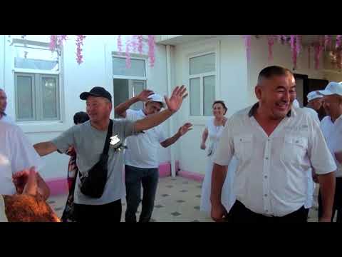 Видео: 5-мектеп 35-жылдык  Газон