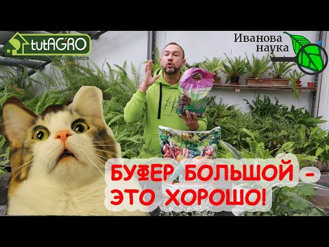 Видео: ПЯТЫЙ ЭЛЕМЕНТ ИДЕАЛЬНОГО ГРУНТА! Увеличиваем БУФЕРНОСТЬ и ЁМКОСТЬ почвы. Дешево и очень эффективно.