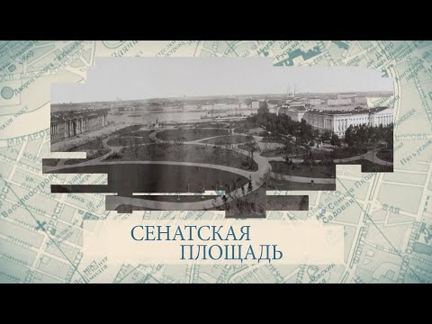 Видео: Сенатская площадь / «Малые родины большого Петербурга»