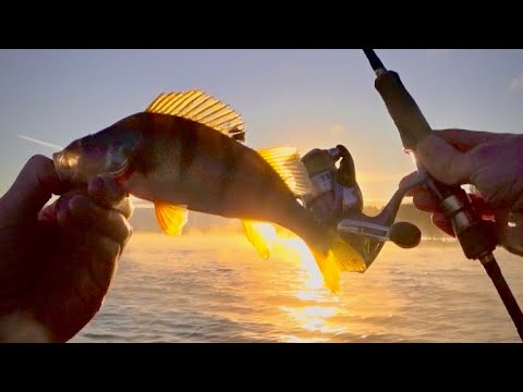 Видео: Поиск и ловля окуня на спиннинг! Рыбалка с ночёвкой. Белоярка, день второй