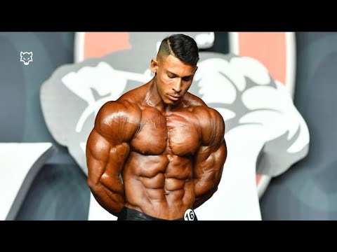 Видео: ЗЛОЙ ВОЛК 🐺 - Рамон Динозавр