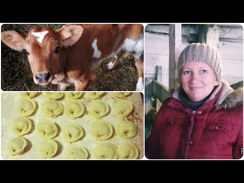 Видео: ПЕРЕЕЗД В ДЕРЕВНЮ. С ЧЕГО НАЧАТЬ? НА ЧЁМ ЗАРАБОТАТЬ? ЧТО ПРОДАВАТЬ ЧТОБЫ ЗАРАБОТАТЬ В ДЕРЕВНЕ.