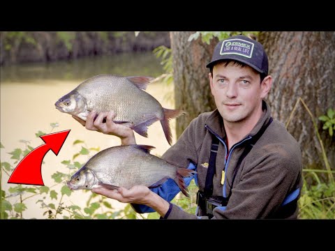 Видео: Днестр рыбалка, Фидерная рыбалка на реке Днестр