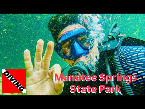 Видео: Реакция Майкла | Diving Catfish Hotel & Manatee Springs, ноябрь 2025 г.