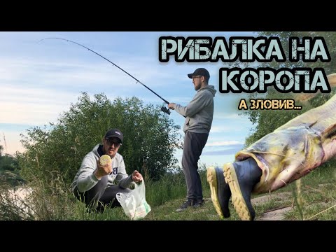 Видео: РИБОЛОВЛЯ на СТАВКУ / ВПЕРШЕ ЗА СЕЗОН 2024 / Ловля КОРОПА - а ВИТЯГНУВ СОМА! /#рибалка