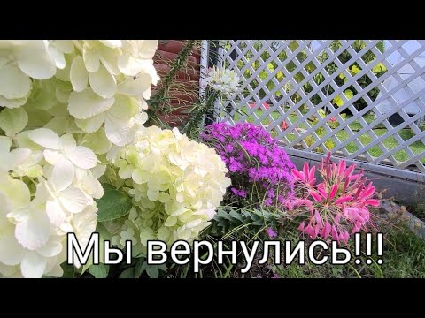 Видео: Дачи на севере Германии/Новый проект/Продолжаем готовится к стройке!