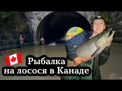 Видео: Рыбалка на Лосося в Канаде Онтарио// Жизнь в Канаде