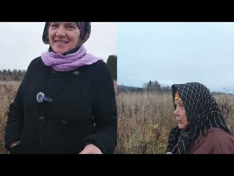 Видео: Собираемся в дорогу , прогулялись со свекровью.