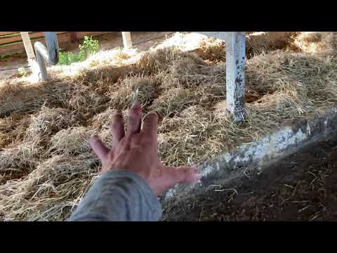 Видео: В бокс песок или солому?