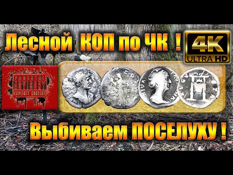 Видео: Лесной КОП по ЧК ! Выбиваем поселуху!