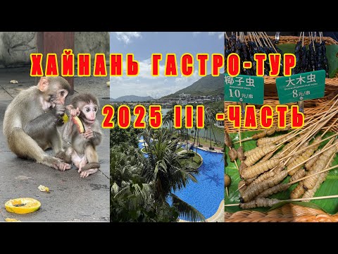 Видео: Гастро-тур Хайнань Парк Ялонг бей Остров обезьян Hainan Gastro Tour Yalong Bay Park Monkey Island. 3