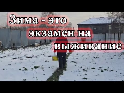 Видео: Экзамен, который сдают не все