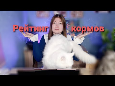 Видео: Рейтинг кормов для кошек 2025