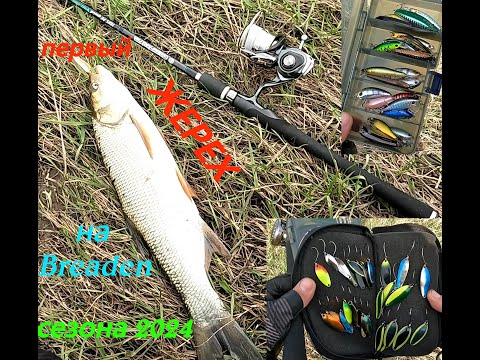 Видео: Первый жерех сезона 2024. Breaden GRF TR85 PE Special Houri-Island в работе.