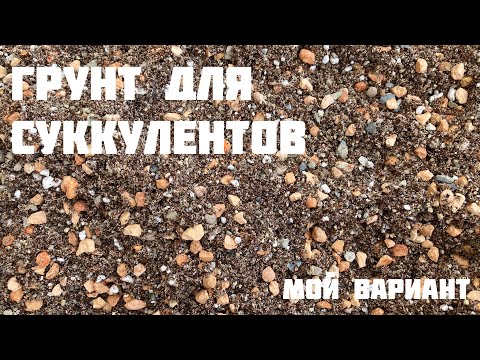 Видео: Бюджетный грунт для суккулентов. Мой вариант