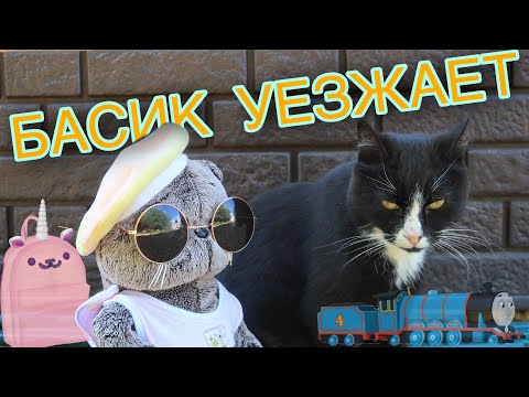 Видео: Басик отправляется в лагерь | Что нужно взять для кота БАСИКА в ЛАГЕРЬ?