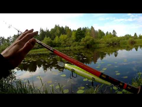 Видео: Разловил STRIKE PRO Inquisitor 110SP.Отчёт с рыбалки 09.06.2019г