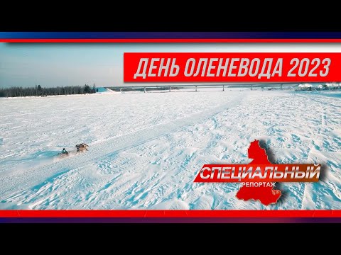 Видео: Самый колоритный праздник северян. День оленевода в Тарко-Сале - яркие воспоминания