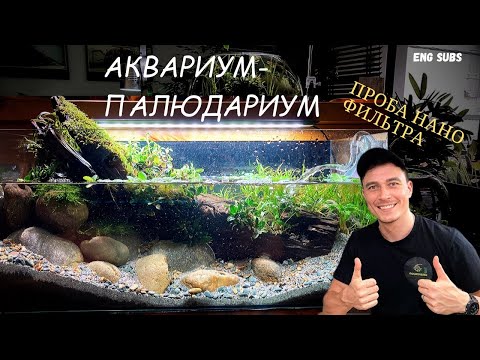 Видео: АКВАРИУМ-ПАЛЮДАРИУМ | AQUARIUM-PALUDARIUM | TUTORIAL