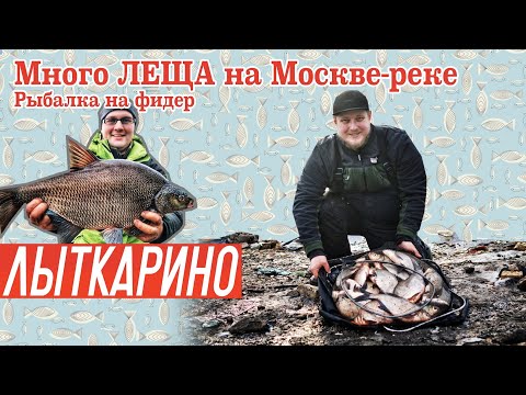 Видео: Как поймать МНОГО ЛЕЩА в Москве-реке. Рыбалка на фидер. DONKATV! Лыткарино