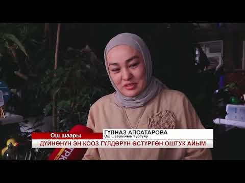 Видео: ДҮЙНӨНҮН ЭҢ КООЗ ГҮЛДӨРҮН ӨСТҮРГӨН ОШТУК АЙЫМ