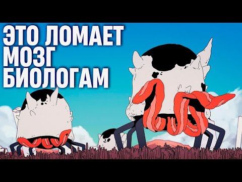 Видео: Вот ТАК выглядели бы НАСТОЯЩИЕ ИНОПЛАНЕТЯНЕ: Царство падальщиков
