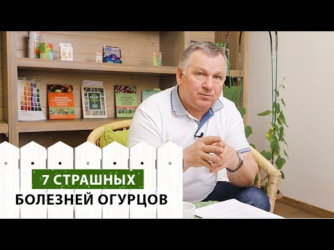 Видео: 7 страшных болезней огурцов. Как с ними бороться (и как не допустить)