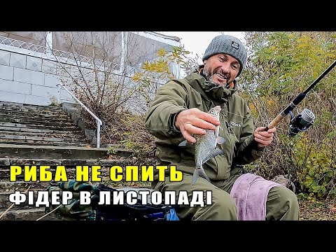 Видео: СІВ НА ЯМІ І РИБА НЕ ЗМУСИЛА СЕБЕ ЧЕКАТИ. Русанівська протока.  Фідерна риболовля в Києві.