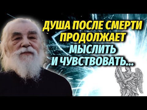 Видео: ДУША ПОСЛЕ СМЕРТИ продолжает мыслить и чувствовать…Иоанн Крестьянкин