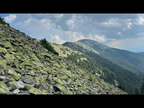 Видео: Тур по Карпатах пішки: Буковель, Томнатик, Синяк і Малий Горган