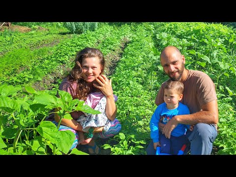 Видео: ЖИВОТ на СЕЛО: Съвсем я ВТАСАХМЕ ☼ Имение ХАЛО ☼