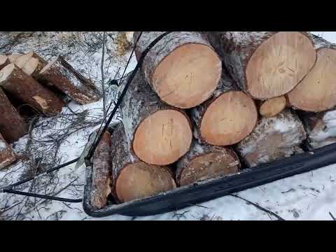 Видео: Используем мотобуксировщик при заготовке дров