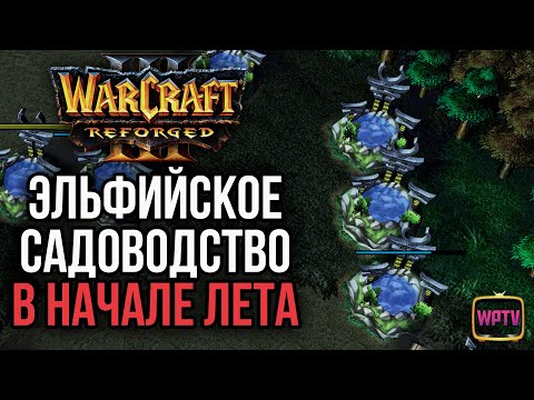 Видео: ЭЛЬФИЙСКОЕ САДОВОДСТВО В НАЧАЛЕ ЛЕТА: Warcraft 3 Reforged
