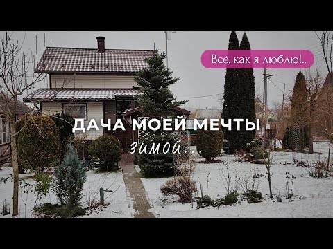 Видео: Зимний сад и вкусный отдых на даче: рододендроны не замерзли!