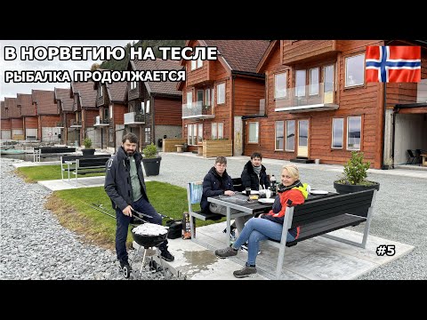 Видео: В Норвегию на Тесле на рыбалку. Улов пошел, рыбалка просто супер. Грилем рыбу не отходя от берега.#5