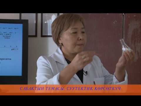 Видео: Химия сабагы. Суутектик корсоткуч. ЭлТР. Илим, билим.