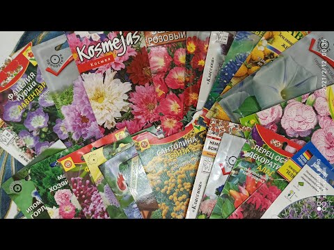 Видео: БУДУ Сеять вновь и вновь! ПОНРАВИЛИСЬ! Но!!!