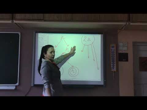 Видео: Жизненные циклы растений . Урок 1.