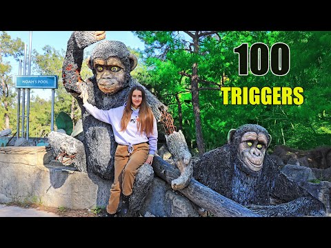 Видео: ASMR 100 TRIGGERS in the FOREST for SLEEP | АСМР 100 ТРИГГЕРОВ за 10 минут В ЛЕСУ Ты точно УСНЕШЬ!