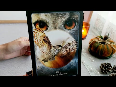 Видео: 🥺💔😱Какви са неговите/нейните страхове за вашите отношения?😱💔🥺