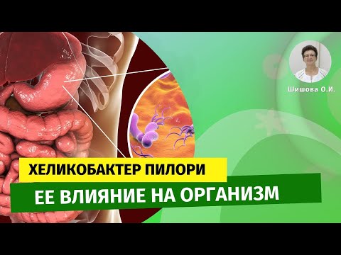 Видео: Хеликобактер пилори её влияние на организм. [Шишова О.И.]