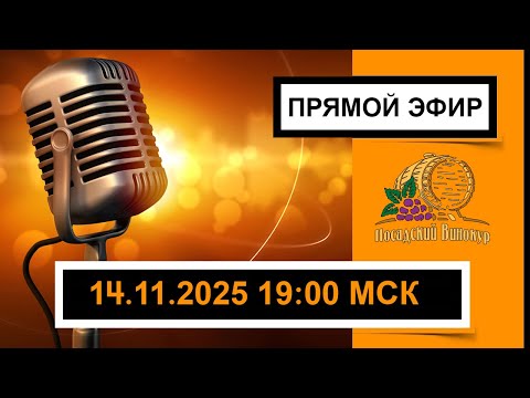 Видео: ВЕЧЕРНИЙ СТРИМ | ЧЁРНАЯ ПЯТНИЦА | ОБЩАЕМСЯ | ВЫПИВАЕМ СО ЗРИТЕЛЯМИ | 14.11.2025 19:00МСК