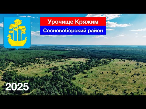 Видео: Урочище Кряжим — что осталось на месте бывшего села? Сосновоборский район (28.07.2025)