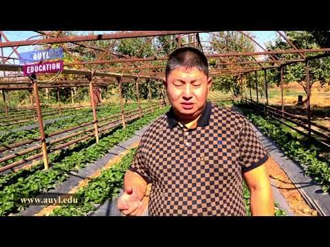 Видео: 4-САБАҚ 4-БӨЛІМ. БИОГУМУС ПЕН СҰЙЫҚ БИОГУМУСТЫ АШЫҚ АЛҚАПҚА ҚАЛАЙ ҚОЛДАНУ ҚАЖЕТ?