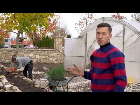 Видео: Превърнахме почти паднала ограда в красива каменна саксия